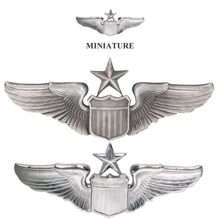 Air Force Badges Archives - Universal Badges